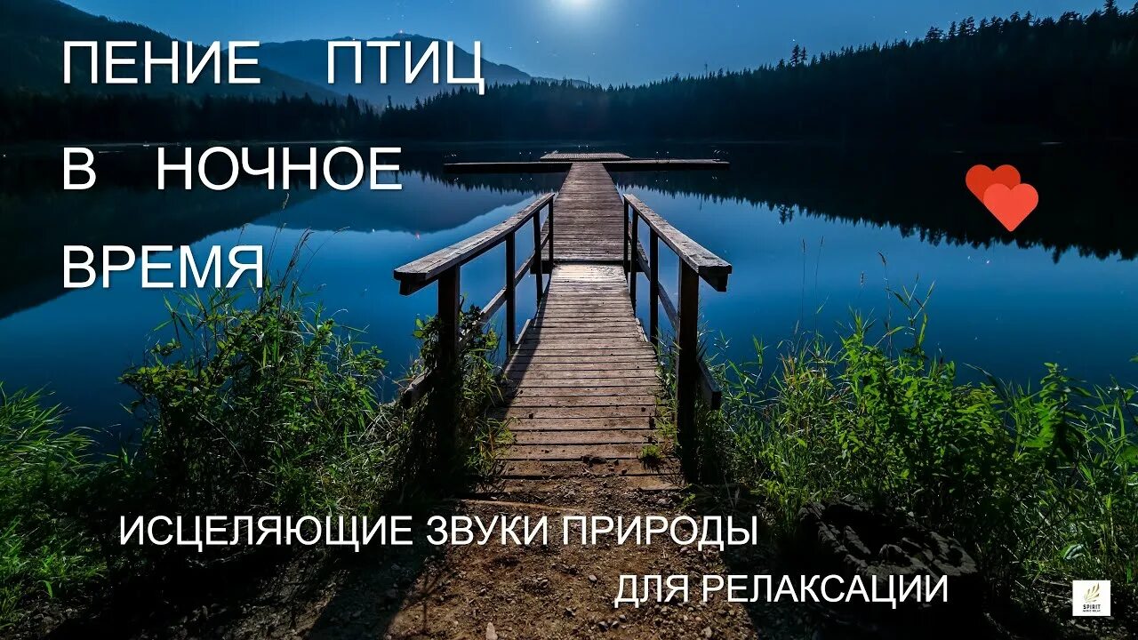 Звуки природы исцеляют. Звуки природы для сна. Релакс звуки природы для сна. Исцеляющие звуки природы Академия музыки.