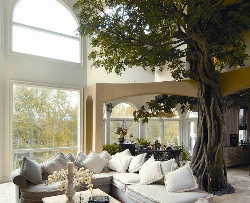 The home in the tree