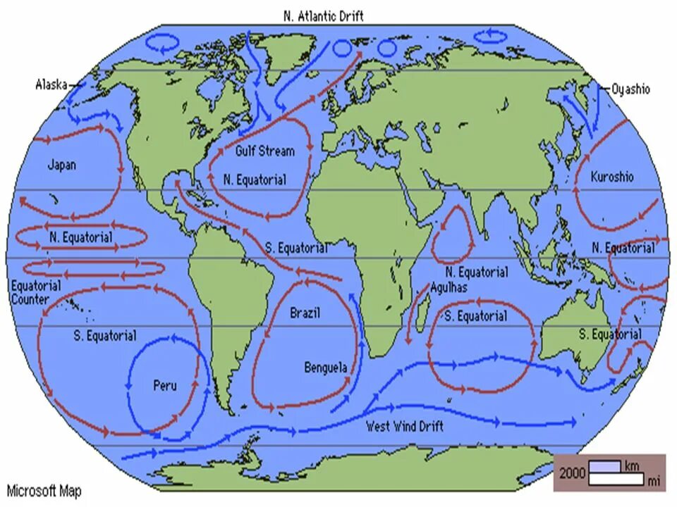 Направление холодных течений. Течение Гольфстрим на карте. Гольфстрим на карте мирового океана. Течение Гольфстрим на карте мирового океана.