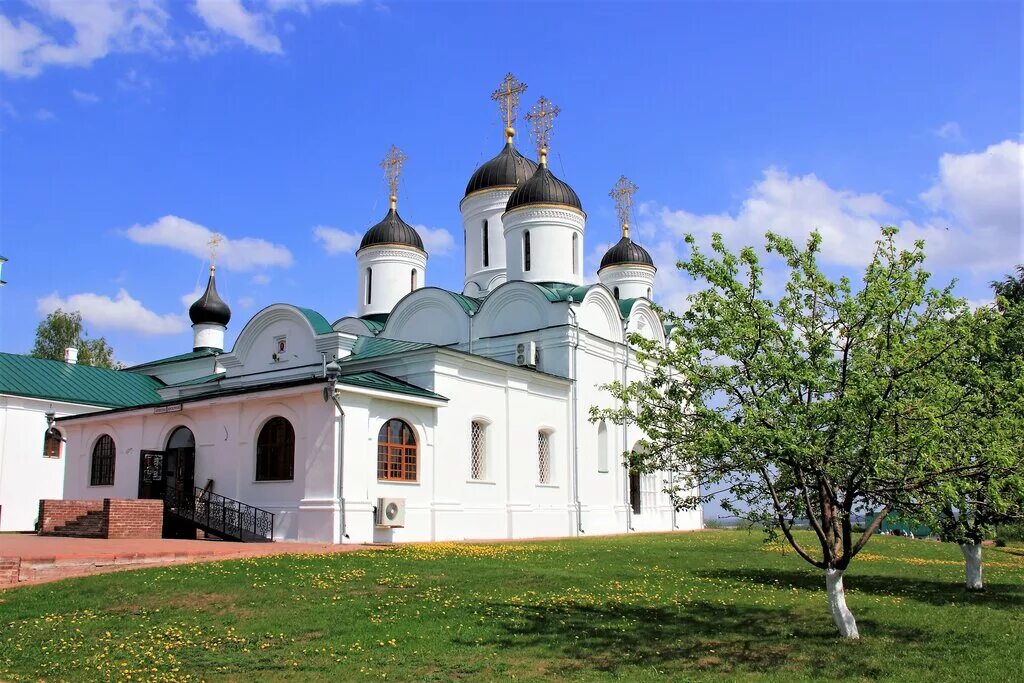 Усть-медведицкий спасо-преображенский монастырь г серафимович. Спасо-преображенский монастырь ярославль. Новоспасский монастырь спасо-преображенский собор. Спасо-преображенский монастырь ярославль. Новоспасский монастырь спасо-преображенский собор.