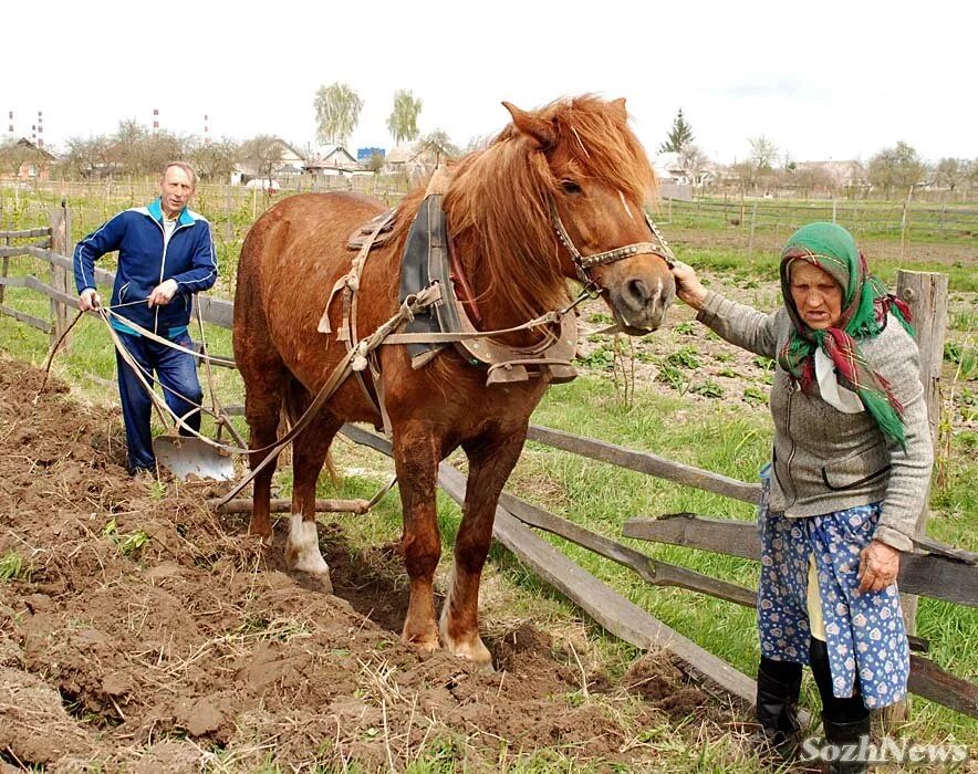 Village работа. Тяжелый труд в деревне. Хозяйство в деревне. Жители сельской местности. Жизнь в деревни и хозяйство.