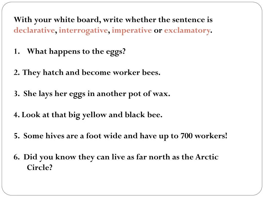 Write interrogative sentences. Declarative-interrogative sentences. ● the declarative sentence ● the imperative sentence ● the interrogative sentence.. Declarative interrogative imperative Exclamatory. Interrogative-imperative sentence.