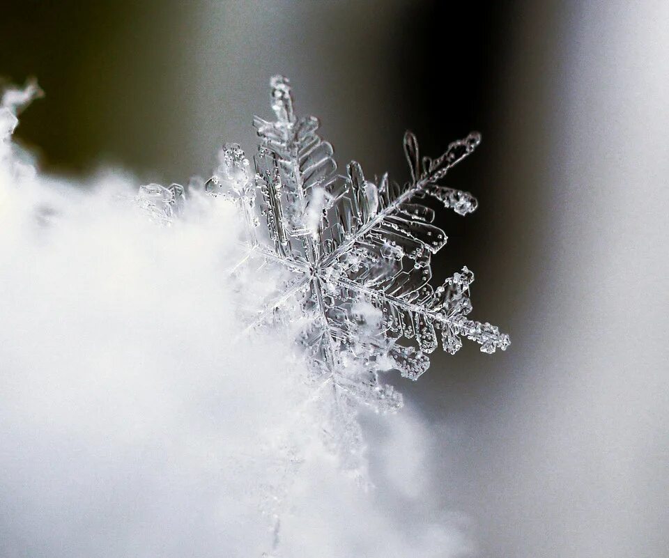 льдинка снежинка