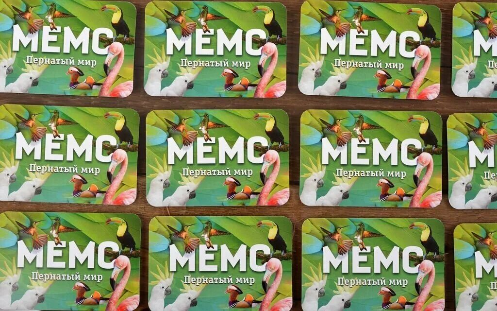 Игра мемо пернатый мир. Мемо пернатый. Мемо пластик. Мемо игра птицы. Мемо нескучные игры пернатый мир.