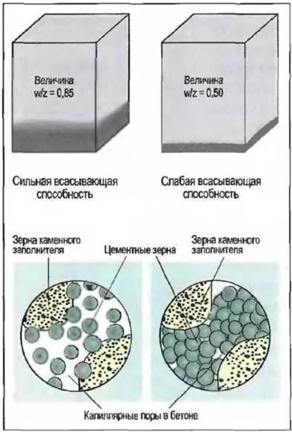 Прочность заполнителя бетона. Водоцементное соотношение. Структура бетона. Водоцементное соотношение бетона.