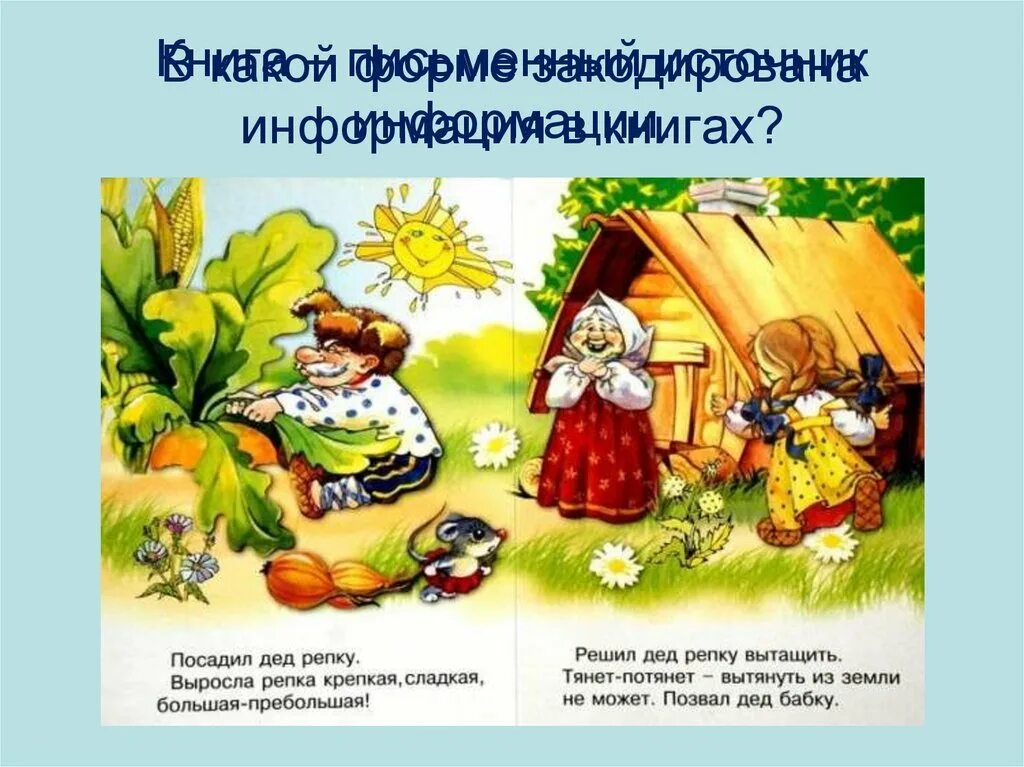Сколько глаз увидели репку. Загадка по сказке репка для детей. Репка. Сколько глаз увидели репку. Сколько глаз увидели репку.