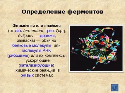 Энзимы это