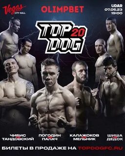 Кард топ дог