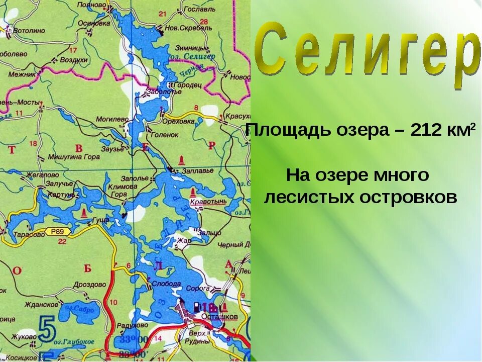 Озера расположены в европейской части россии. Озеро Селигер на карте России. Озеро Селигер на карте. Озера Валдай и Селигер на карте. Озеро Селигер на физической карте.