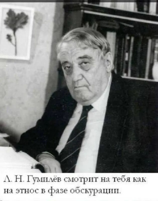 Лев гумилев книги коллаж. Л. Н. Гумилев лев николаевич портрет. Л н гумилев труды.