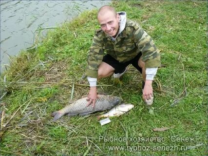 Вашутино платная рыбалка русфишинг