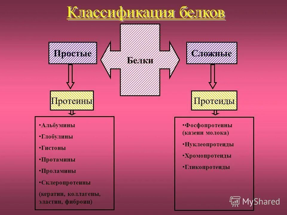 Два типа белков. Классификация белков протеины и протеиды. классификация простых и сложных белков. схема классификации белков. классификация простых белков (протеинов.