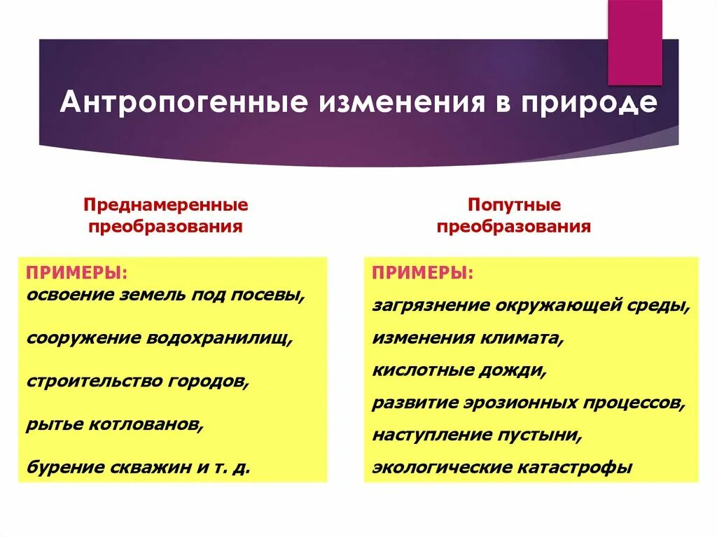 Антропогенные изменения в природе это. Преднамеренные преобразования в природе. Антропогенные изменения в природе преднамеренные и попутные. Антропогенные изменения в природе примеры. Изменения которые происходят в современном