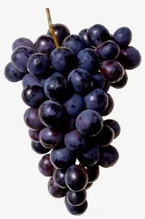 Вкусный черный виноград
