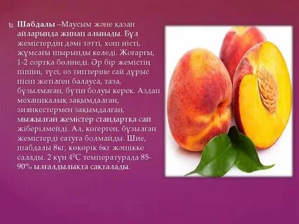 Неміс лесбиянкалық порно фильмдер