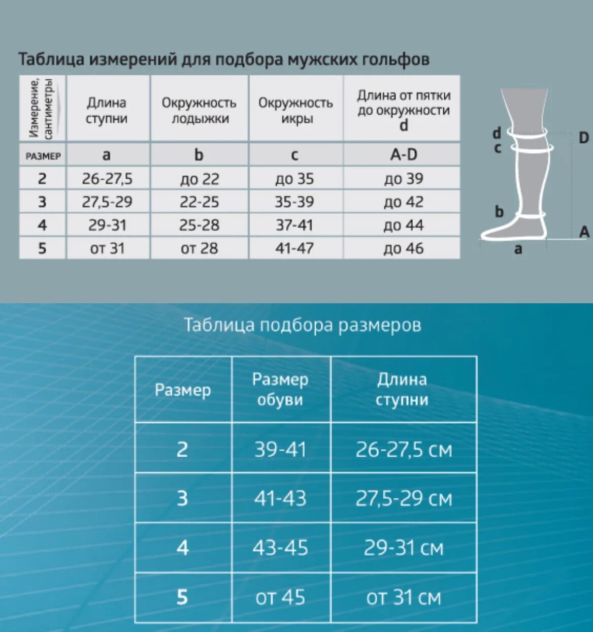 Гольфы med JW-127 компрессионные мужские. Гольфы компрессионные b.well таблица размеров. Таблица размеров компрессионных гольф для женщин 2 класс. Компрессионные гольфы размер 2. Как подобрать размер компрессионных гольф