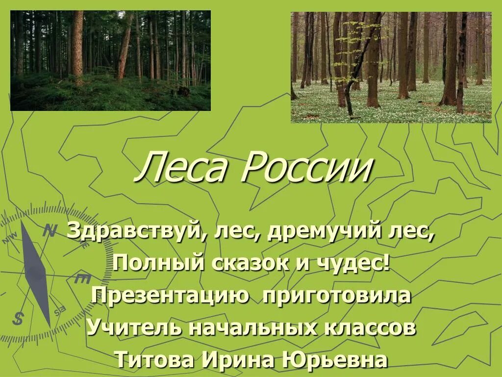 Леса россии презентация 1 класс