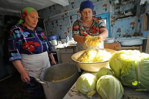 По каким дням квасят капусту женским или