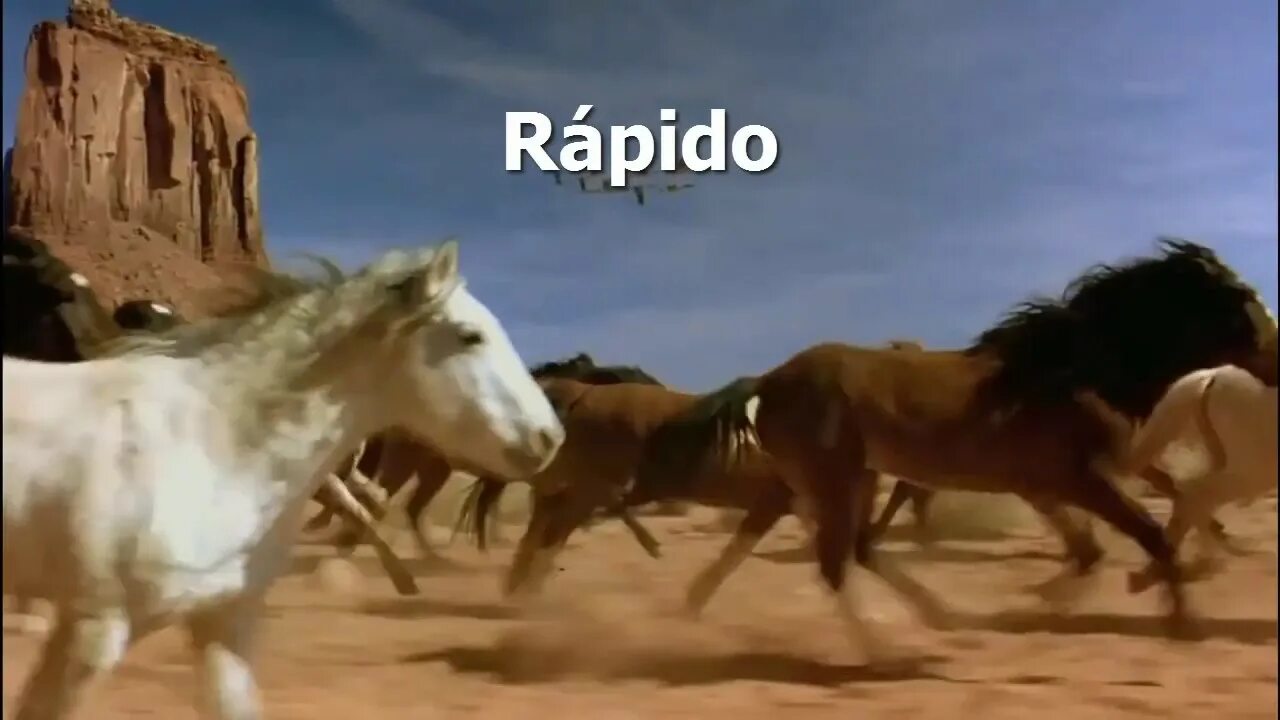Песня конь speed up. Лошади в океане. лошади в океане стихотворение. лошади в океане песня.
