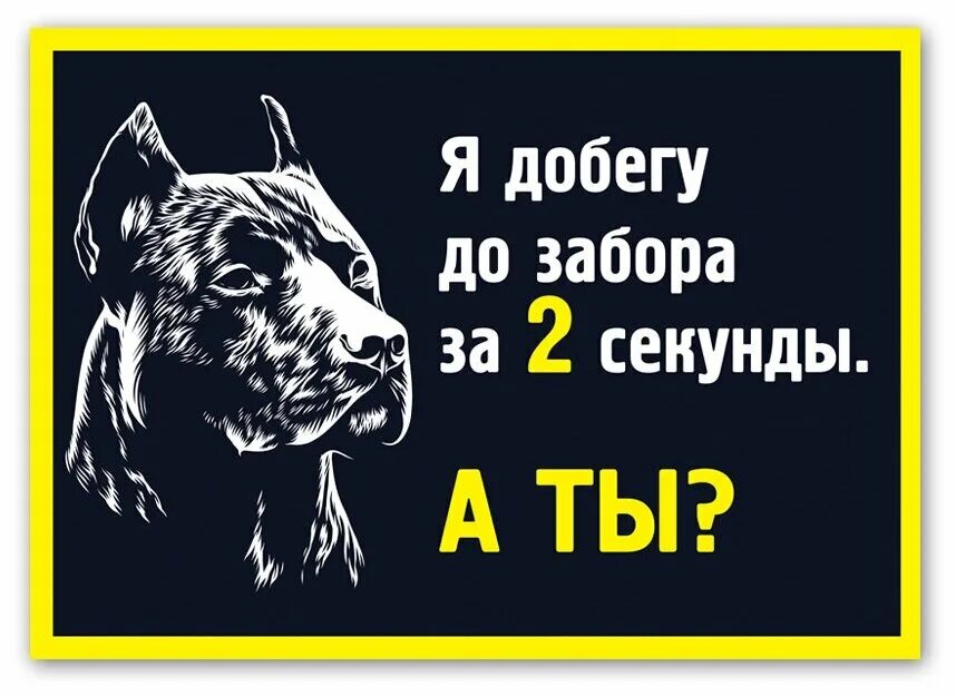 Добежав до забора собака опять мгновенно разворачивается. Добежав до забора собака опять мгновенно разворачивается
