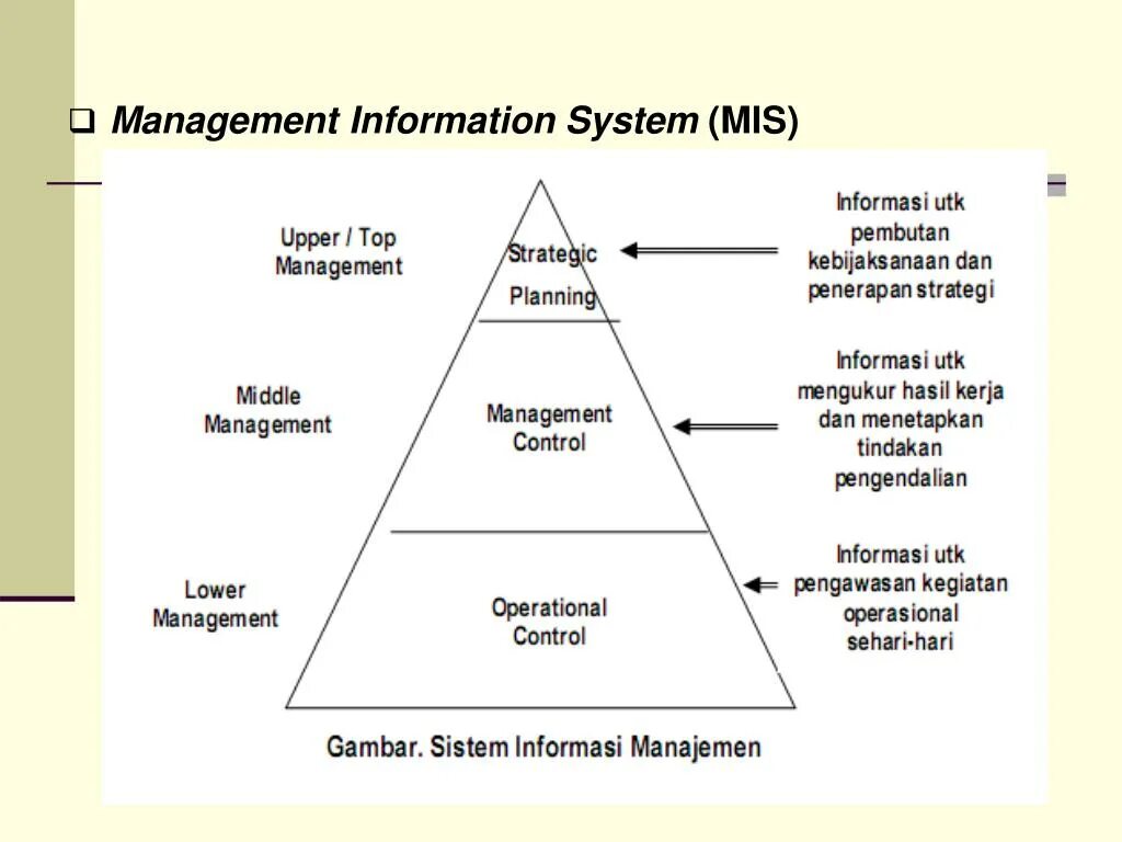 Management information system