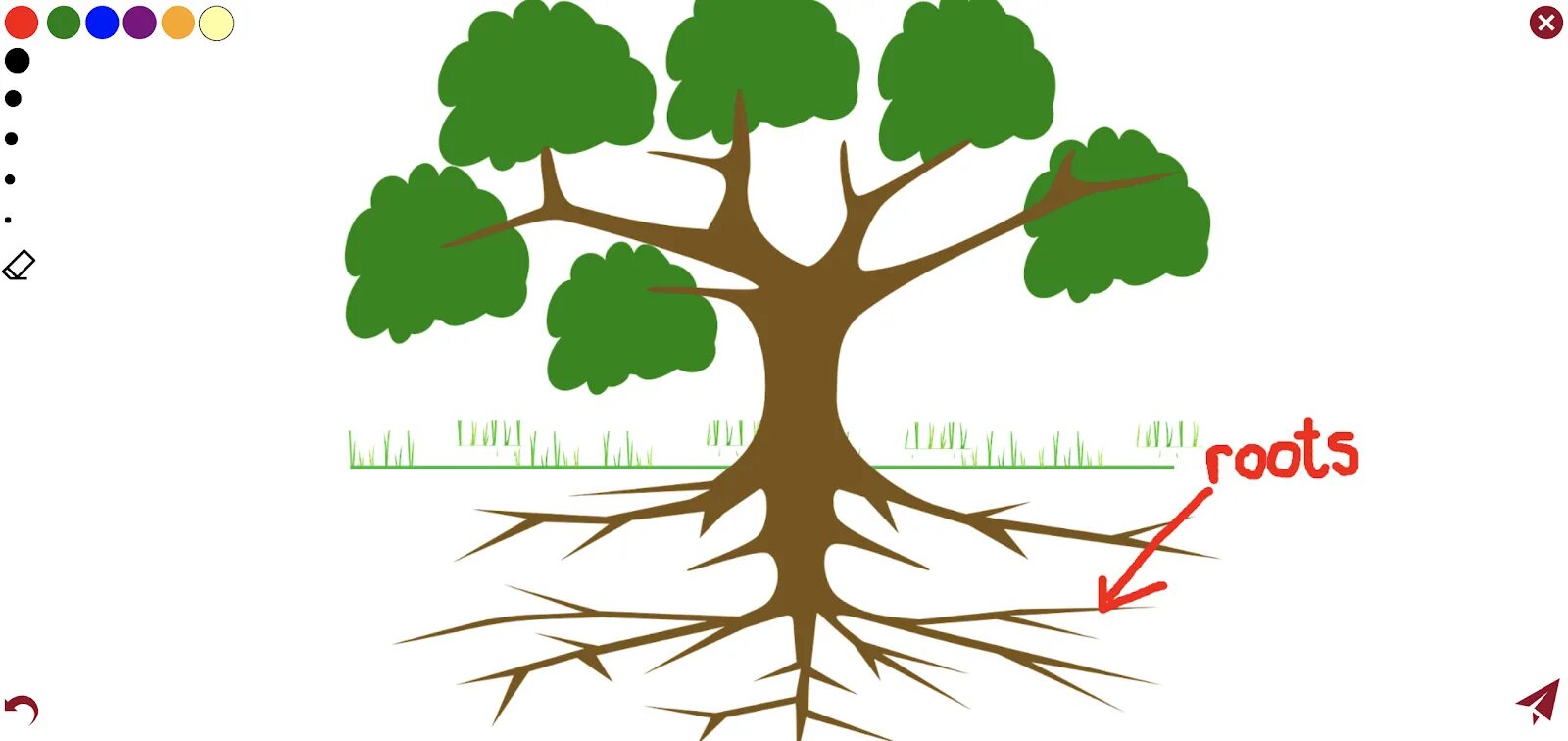 Root problem. Root problem
