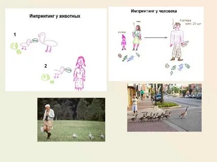 Какого значение запечатления в жизни человека