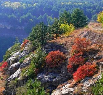 Осень в кисловодске