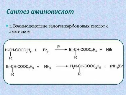 При взаимодействии аминов с кислотами образуются