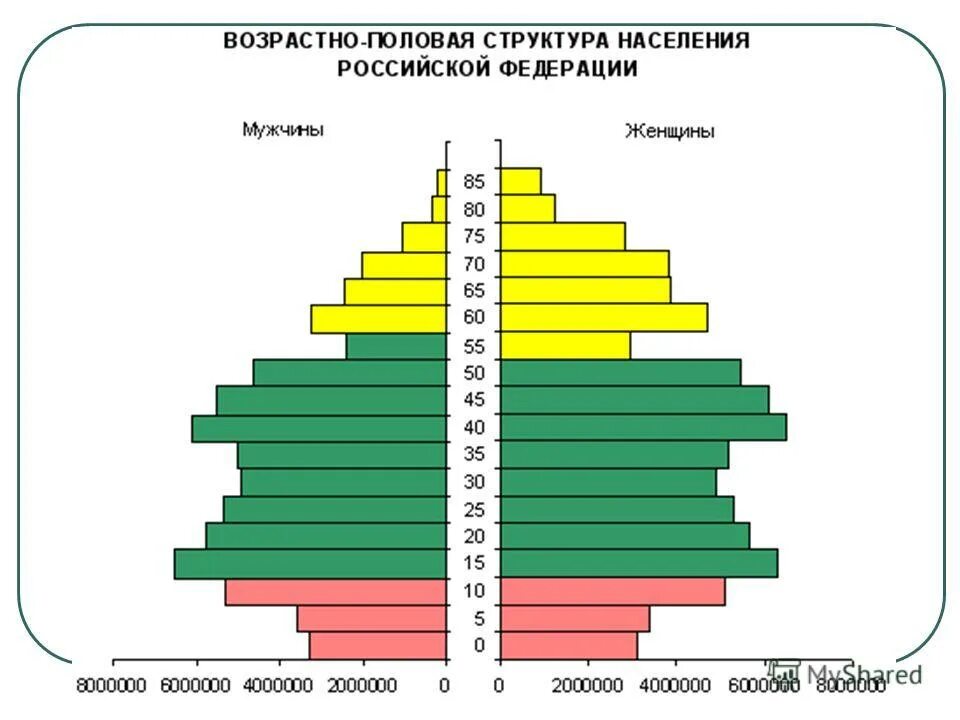половозрастная структура общества