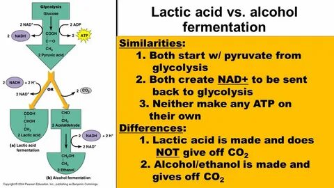 Acid v