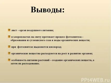 Лист орган воздушного питания