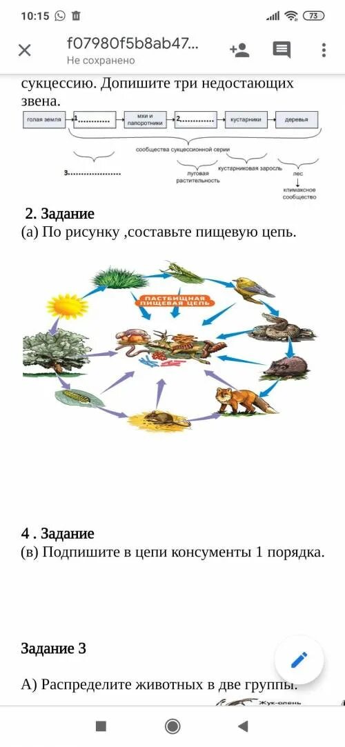 Составить пищевую цепь из 4 звеньев. Задания на составление пищевых цепей. Составьте пищевую цепь с ответами 5 класс. Пищевые цепи учебник картинка. Составь цепь питания по рисунку страница 166 учебник.