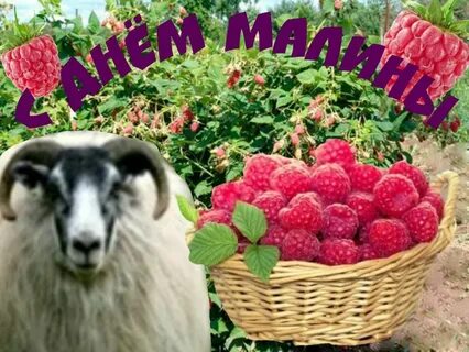 Песня малиновое день рождения