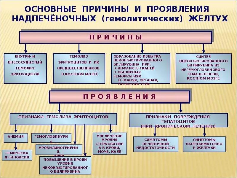 Как лечится желтуха. Основные причины и проявления надпеченочных желтух. механическая желтуха симптомы у детей. причины гемолитической желтухи.