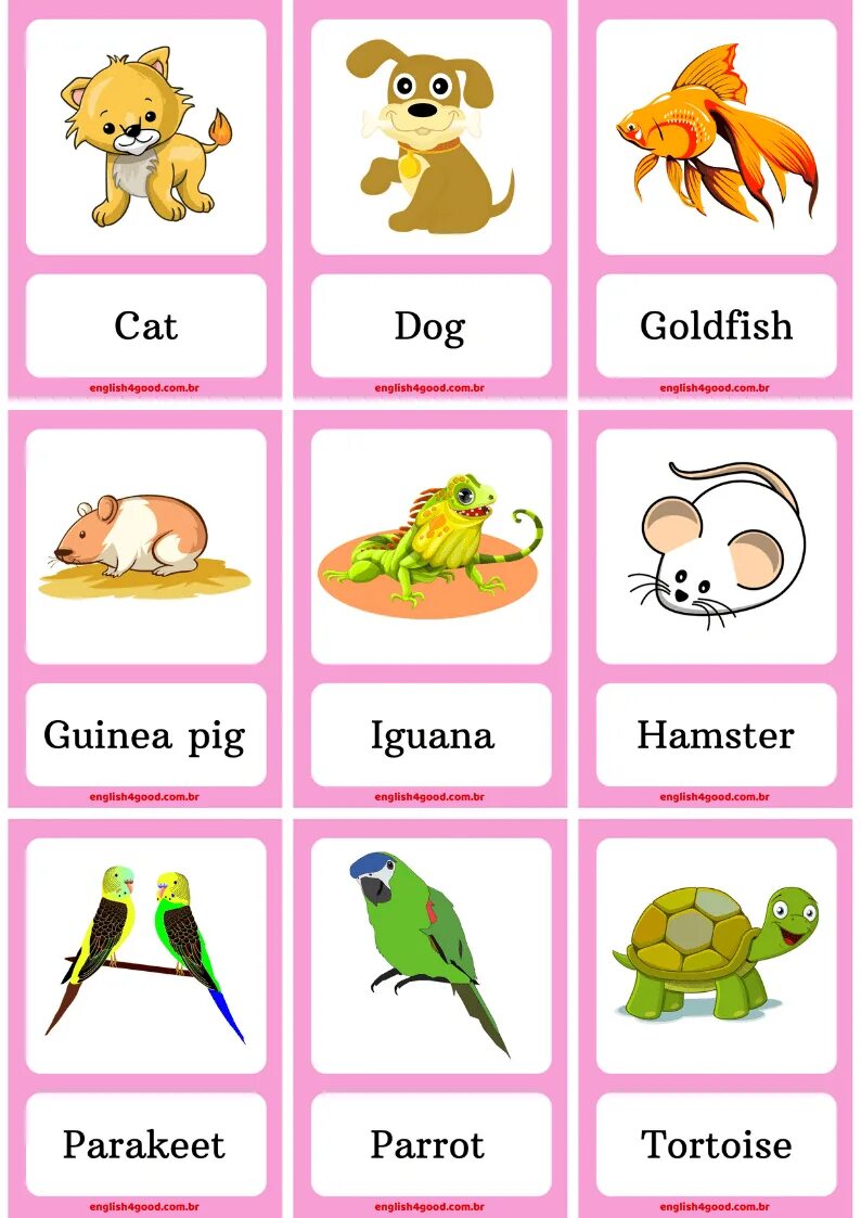 Карточки Pets. Animals for Kids карточки. Pets на английском. Карточки Pets на английском. Pets vocabulary