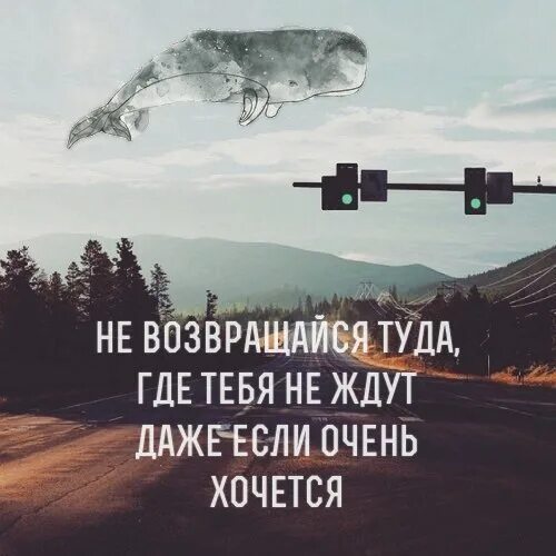 Хочу пойти туда. Не возвращайся туда где тебя не ждут. Там где не ждут. Там где ты цитаты. Главное не возвращаться туда где тебя не ждут.