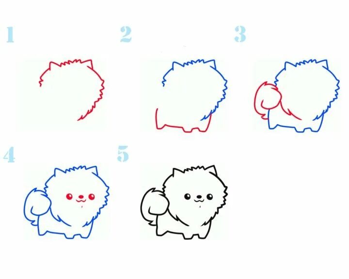 рисовать шпица поэтапно. как нарисовать шпица поэтапно. как нарисовать шпица поэтапно. как нарисовать шпица поэтапно. рисование шпица карандашом для начинающих.