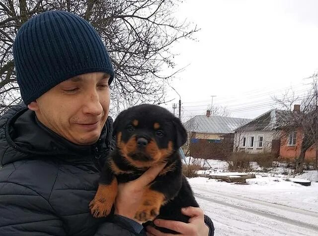 аглицкий продюсер. аглицкий сад. аглицкий сад. аглицкий продюсер. аглицкий сад курск.