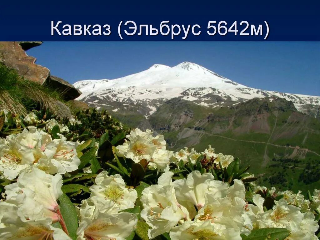 Северный кавказ факты. Эльбрус потухший вулкан. Вершины география Кавказ.