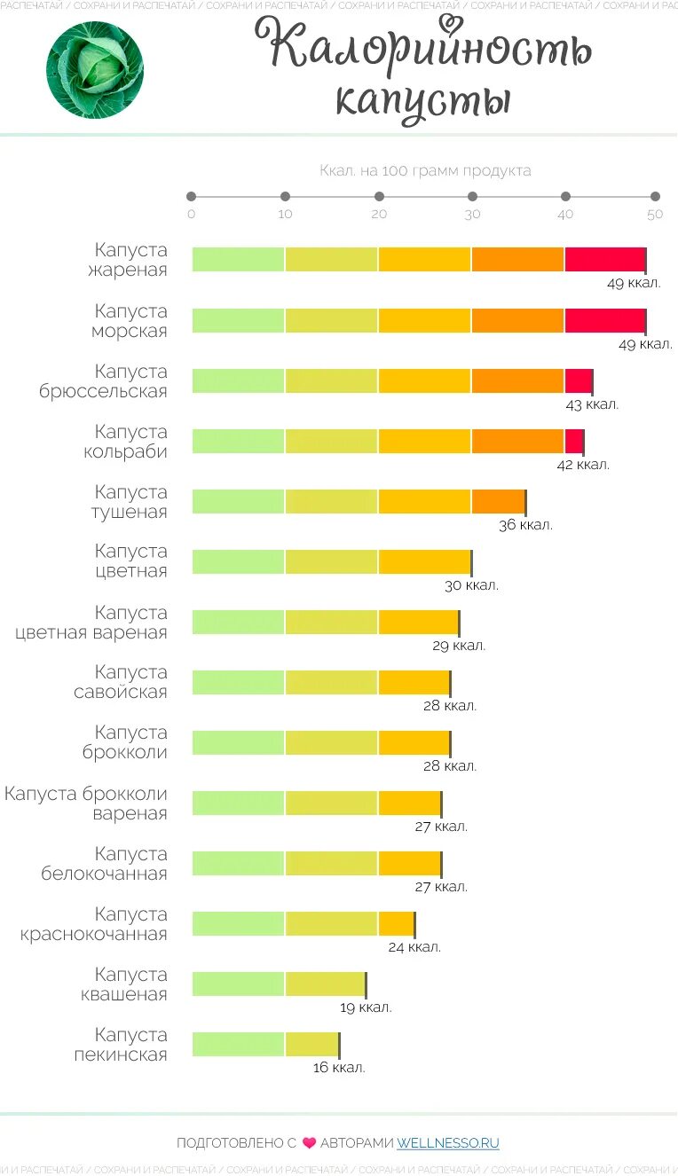 Тушеная капуста калории на 100. Цветная капуста тушеная калорийность на 100 грамм. Капуста белокочанная калорийность на 100 грамм БЖУ. Цветная капуста БЖУ на 100 грамм. Калорийность белокочанной капусты в 100 гр свежей.