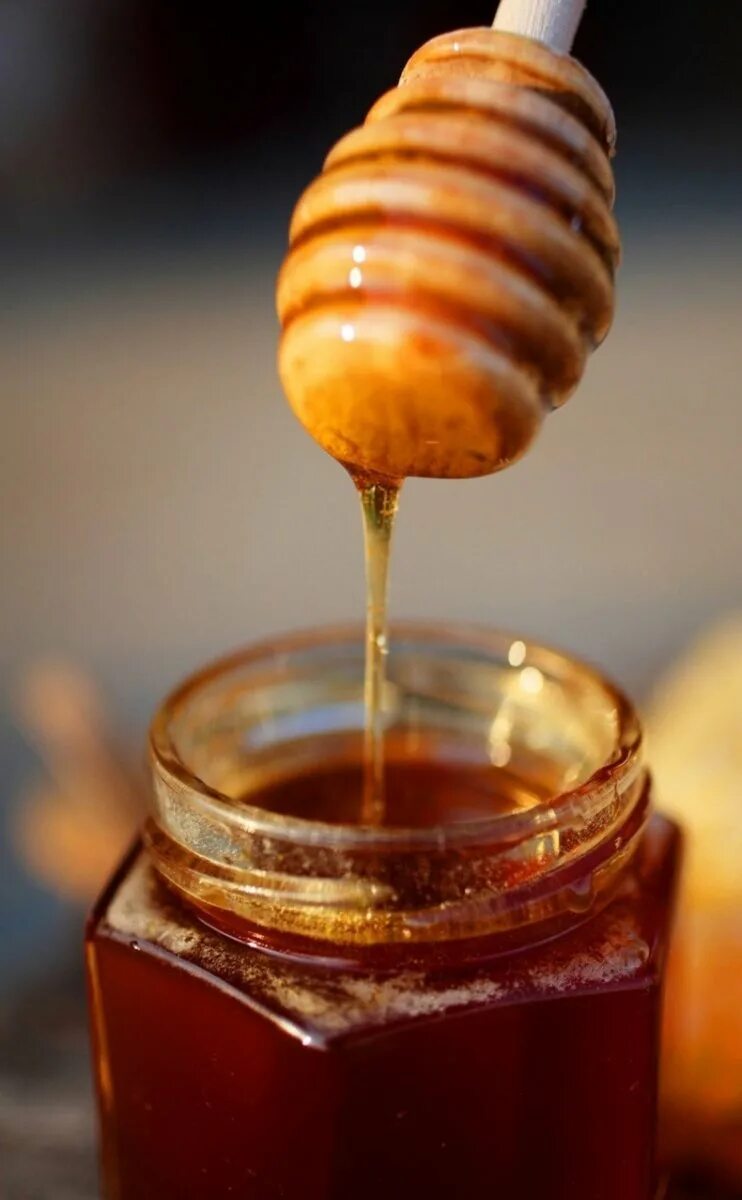 Honey фото. Мед. Пчелиный мёд. Дед ме. Красивый мед.