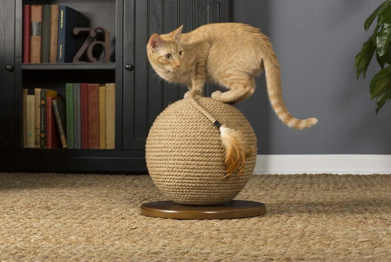 Cat scratcher. Игрушка для кошки сизаль. Spheric Cat. Modern Cat Tree. Luxury Cat.