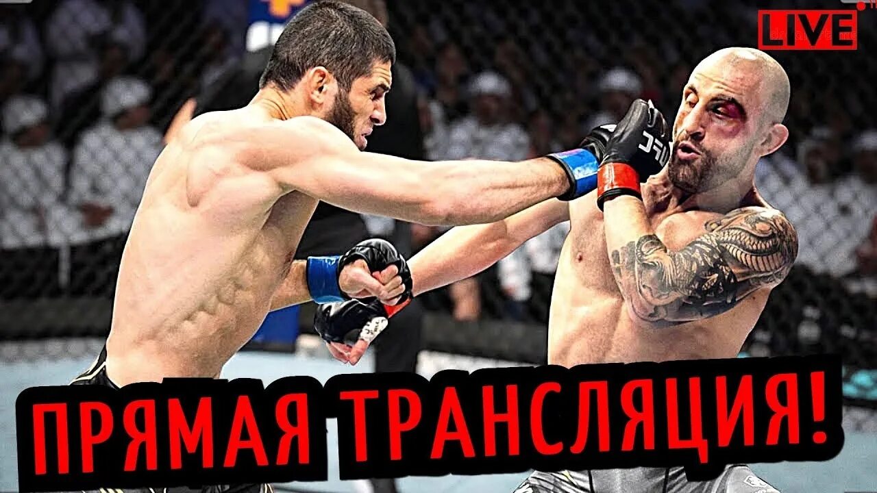 UFC 284 Махачев Волкановски.