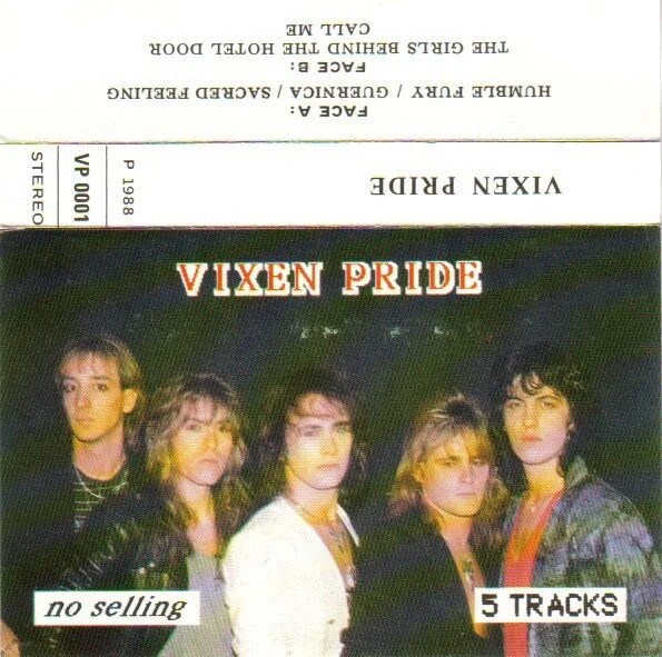 Vixen перевод. Рок группа Vixen. Группа Vixen фото. Vixen 1988. Vixen группа в молодости.