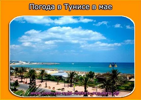 Погода в тунисе в феврале