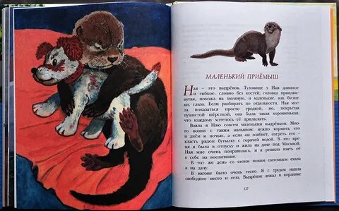 Чаплина медвежонок