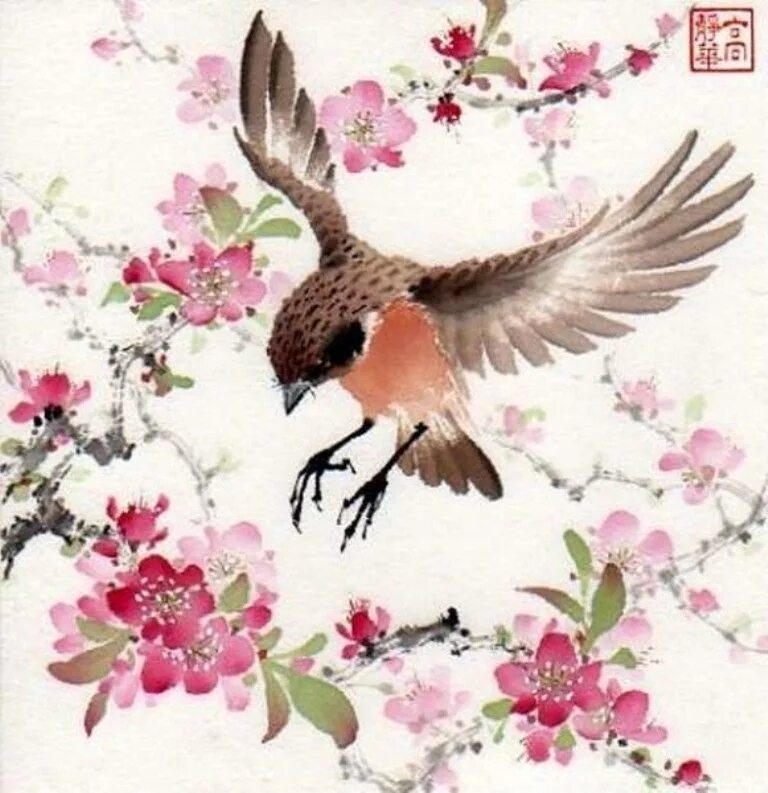 Птица по китайски слушать. Jinghua Gao Dalia. Птицы на Сакуре. Японская акварель птицы. Птичка в китайском стиле.