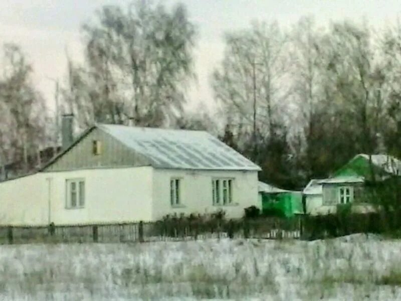 Костино отделец воронежская область погода. Село Костино Отделец Воронежская область. Терновка село Костино-Отделец. Костино Отделец Воронежская область Терновский район. Терновский район село Костино-Отделец.