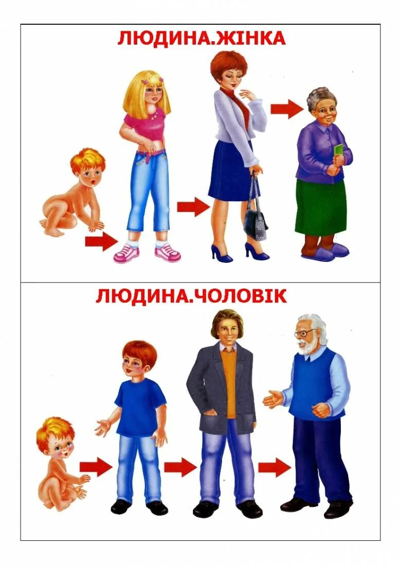 Как росла и менялась